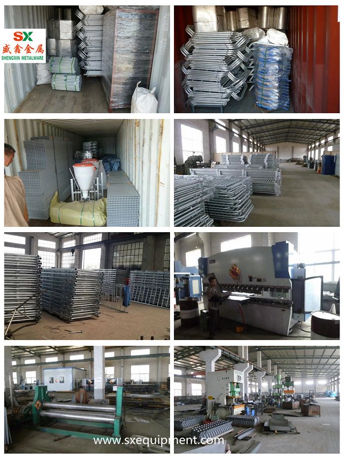 packing 1(001).jpg packing 1(001).jpg